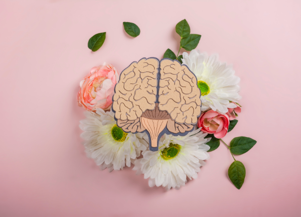 Brain illustration placed on fresh flowers symbolizing Iyali’s mental well-being therapy and counselling services in Chennai.